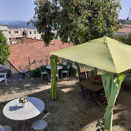 Bed and Breakfast Les Palmiers Grasse Zewnętrze zdjęcie