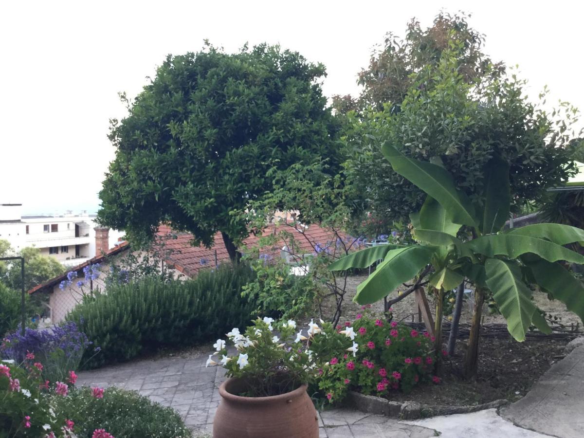 Bed and Breakfast Les Palmiers Grasse Zewnętrze zdjęcie