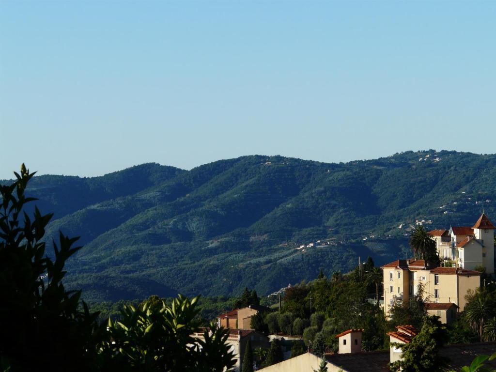 Bed and Breakfast Les Palmiers Grasse Zewnętrze zdjęcie